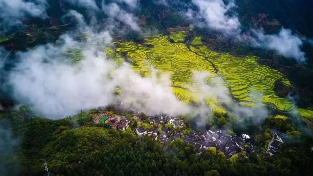 廬山、鄱陽湖石鐘山、景德鎮、婺源篁嶺三日游